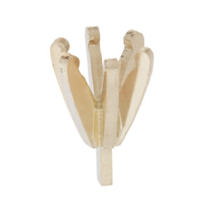 P6 Shallow and Wide Ring Mount 6 Claw – P